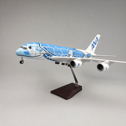 Airplane A380 | Turtle