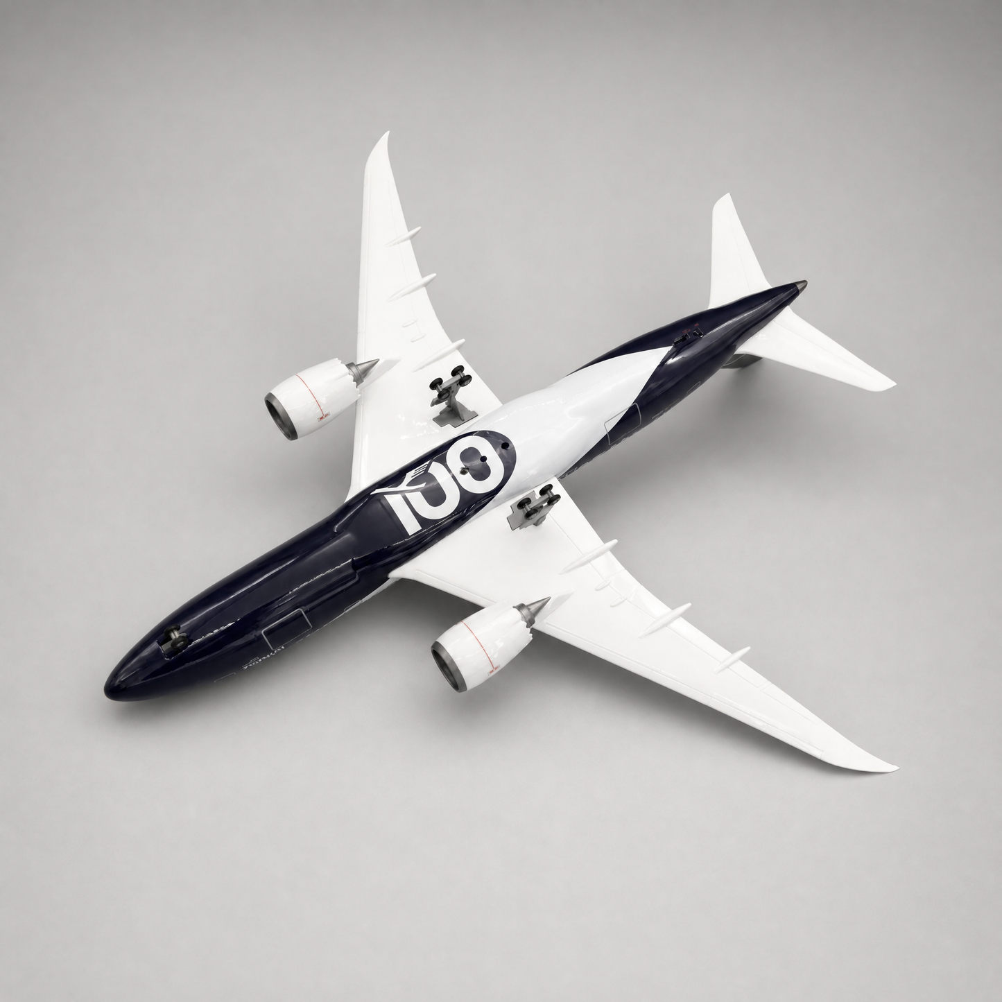 Airplane B787 | 100 Years